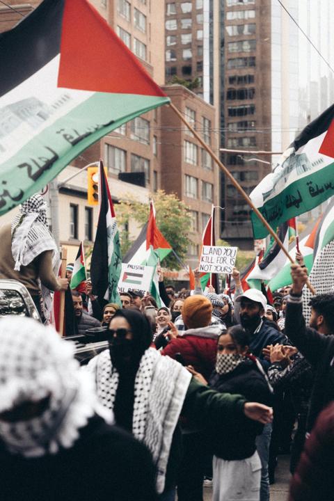كيف أصبح الشال الفلسطيني رمزا للمقاومة والأمل؟